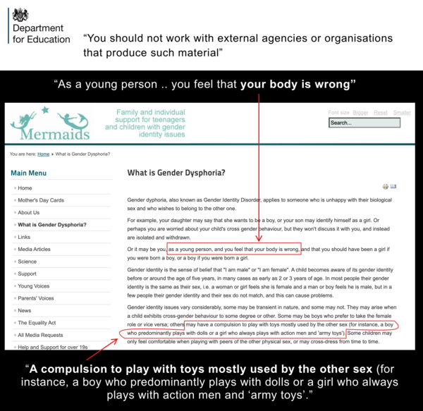 Mermaids and the evolving understanding of gender identity.