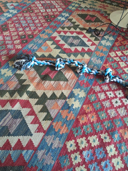 Toys for dogs that love chew? Something that lasts, any ideas?