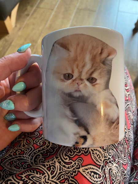 Nooo my work mug has cracked!
