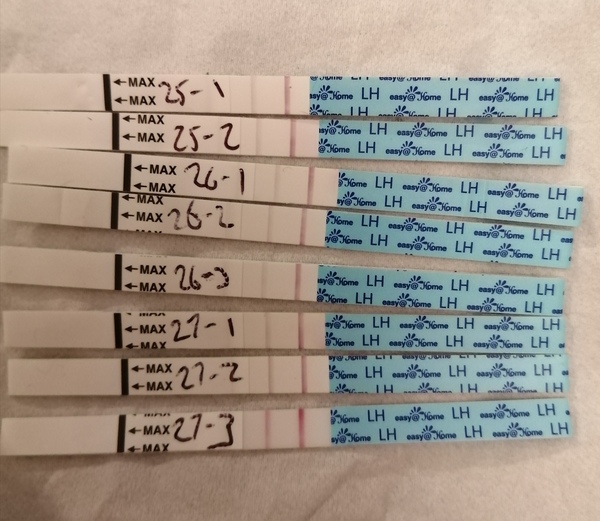 Conception:  TTC Baby no1. The crazy lot. Thread 3!!!