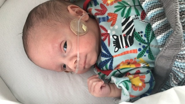 September 2020 7 - babies are arriving!