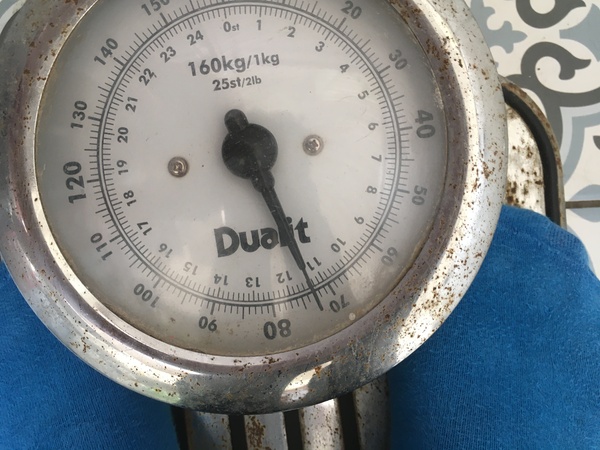 Guess how much DH weighs