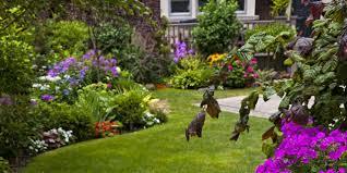 *PICS* Complete novice with a blank slate garden