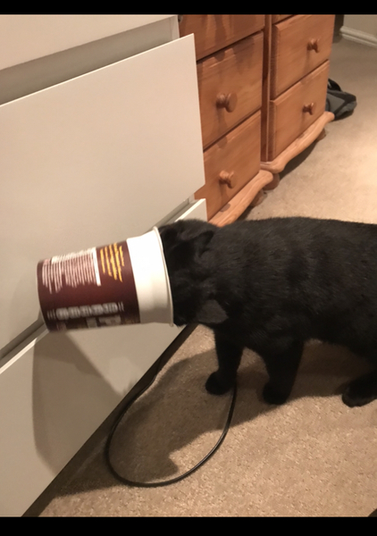 Wasn’t me.