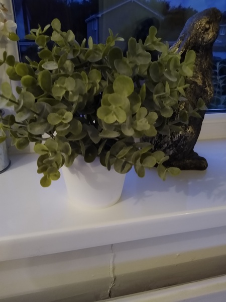 August Always Adds Pocket Pressure, Frugal Friends Thrive Thriftily