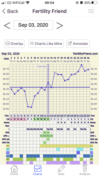 BFP after 12dpo BFN success stories