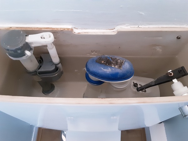 Toilet flush issues
