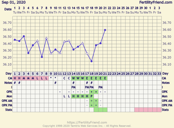 Starting TTC again after missed miscarriage part two