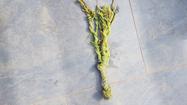Good toys for destructive, chewy dogs?