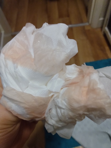 8 dpo BFN first response