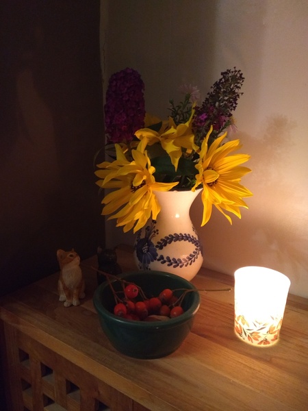 Any Witches Here? Part 12.