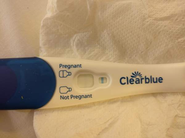 8 dpo BFN first response