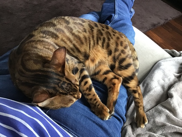 Sitting on knee.
