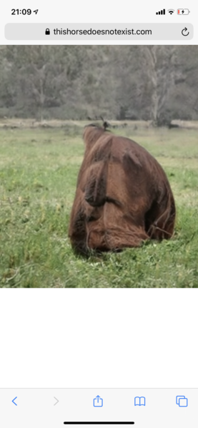 To think I have stumbled across the creepiest website ever?