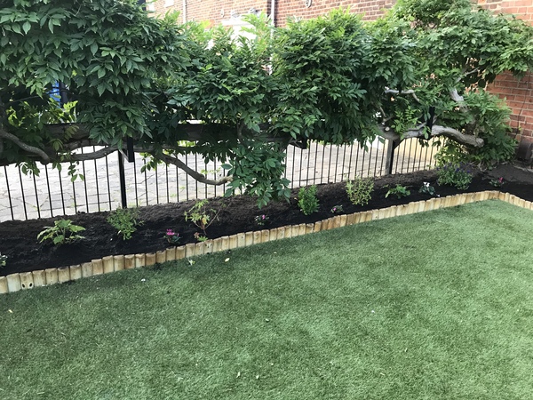 What can I put in this bed under wisteria?