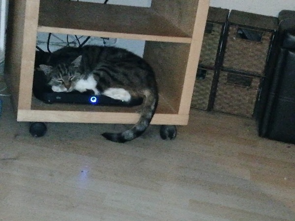 'The happy Place Cafe' AKA the cafe is open thread 3