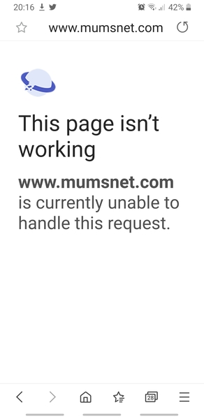 Samsung Internet on Android mobile won't show MN