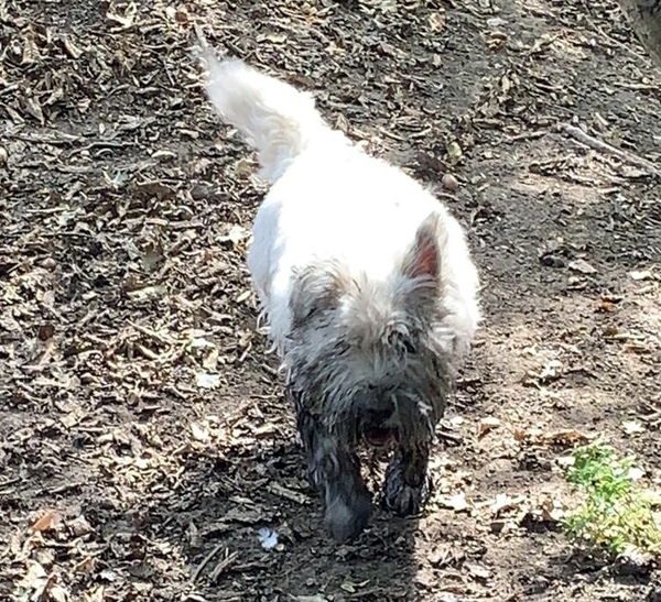 Swagger Inn thread 166 - where the forrin one tries to come up with a witty title but fails