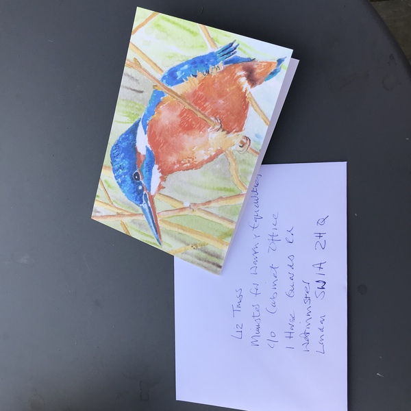 Shower Liz Truss with cards!