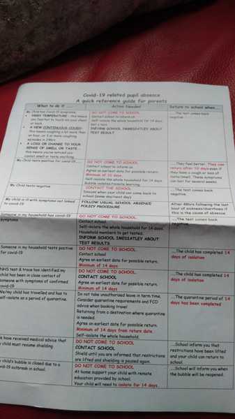 Schools - symptoms and siblings