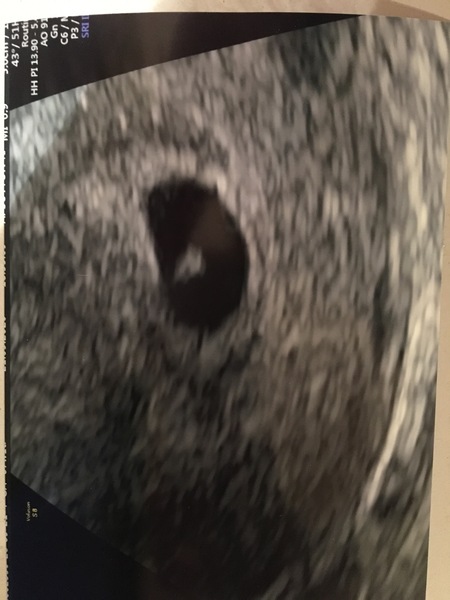 May babies 2021