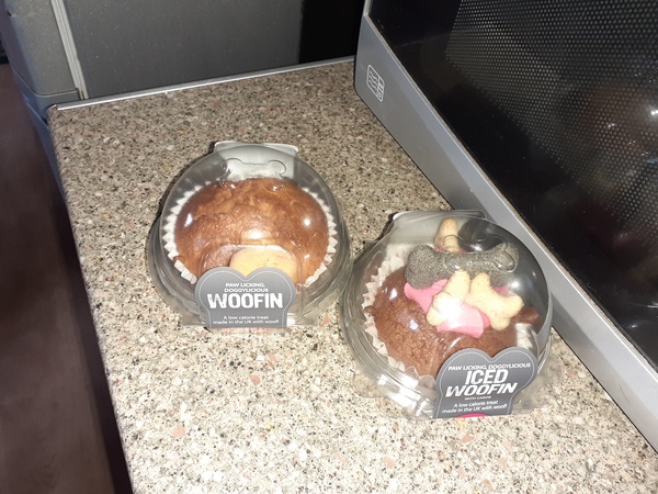 For thinking my neighbours should not be buying her dog birthday presents ?