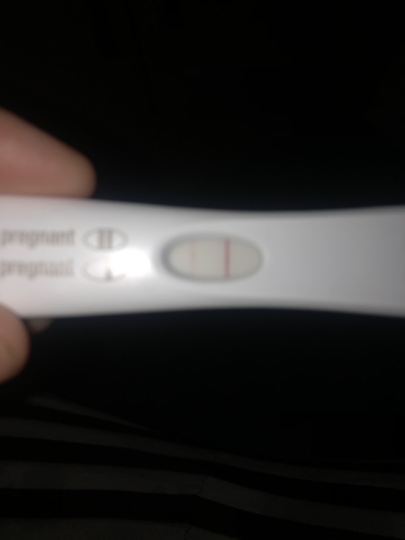 Sept IVF/FET Part 2