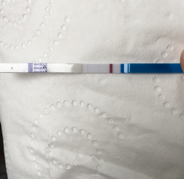 IC positive or Evaps 10dpo