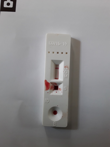 Have you had an antibody test?