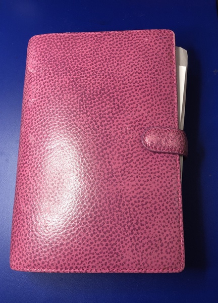 Does anyone on here have a Filofax or planner?