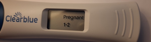 Starting TTC again after missed miscarriage part two
