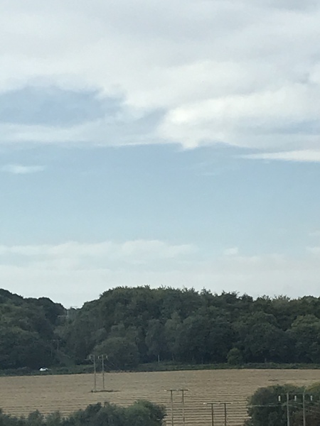 Why has the farmer got his combine harvester out now?