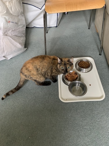 Latest foster