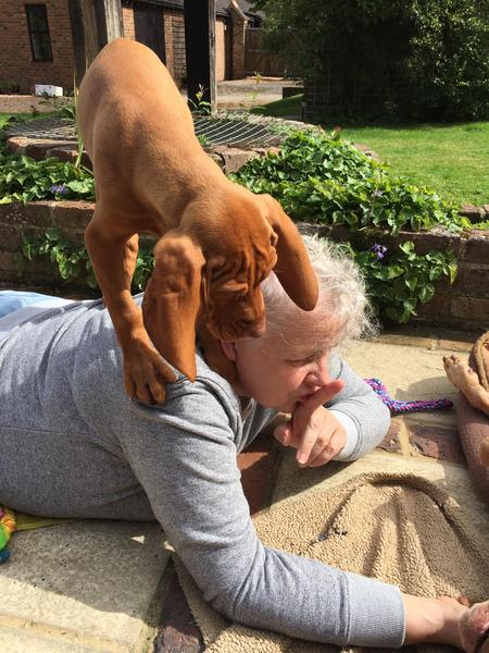 AIBU to want to show you a picture of our new puppy?