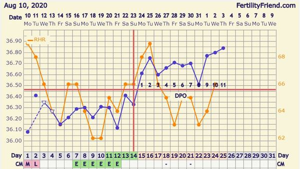 Tracking your cycle and possible BFP using RHR - part 3