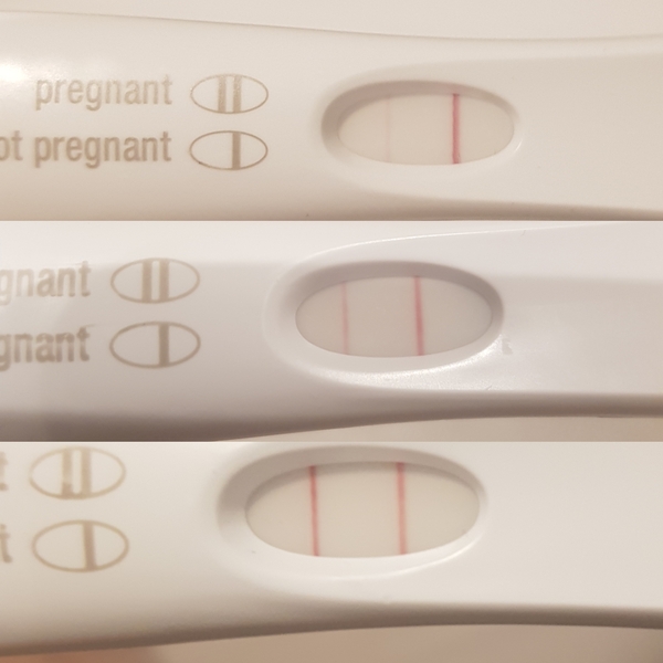Newly Pregnant Club