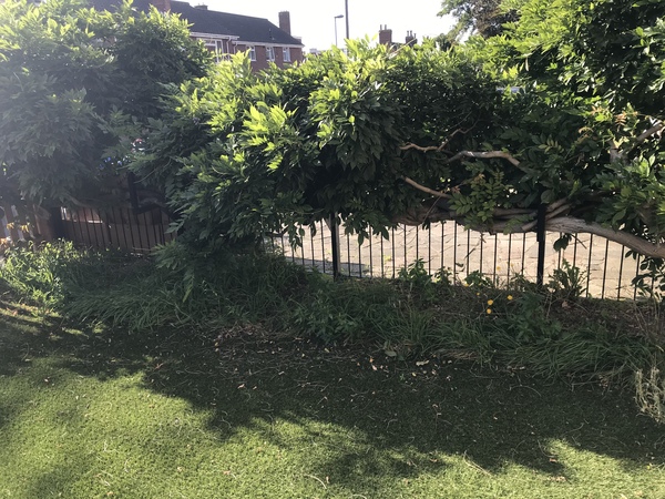 What can I put in this bed under wisteria?
