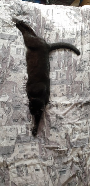 What is she?