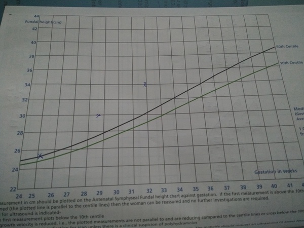 Due end Nov/early Dec - Hello third trimester!