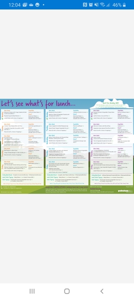 "Healthy" school lunches