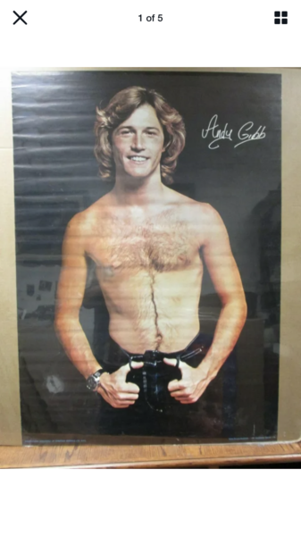 What bedroom posters did you have as a teen?