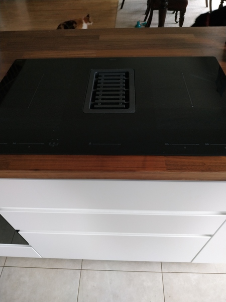 Have you had both induction and gas hobs? Which did you prefer and why?