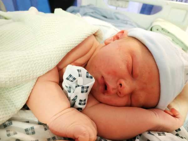 September 2020 7 - babies are arriving!