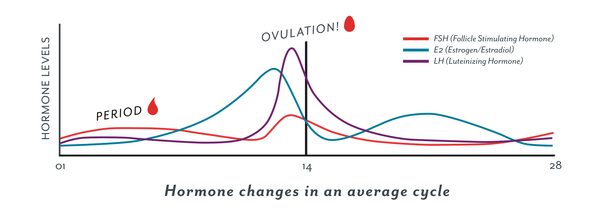 TTC after MC - September 2020 (Thread 13)