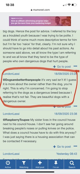 Reporting dangerous dogs?