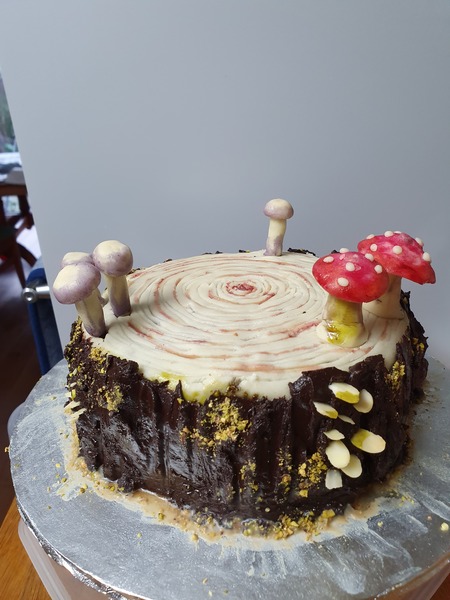 Anyone else picked their Christmas cake design?