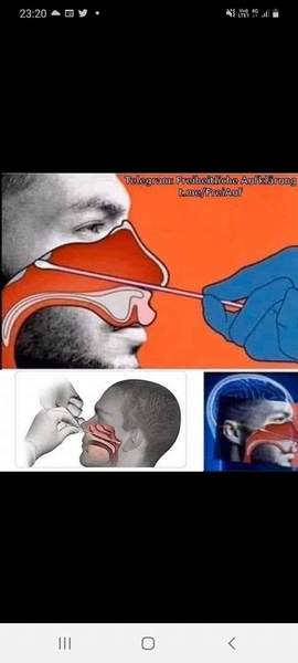 Crazy covid theories