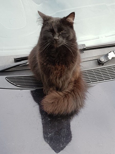 What is she?