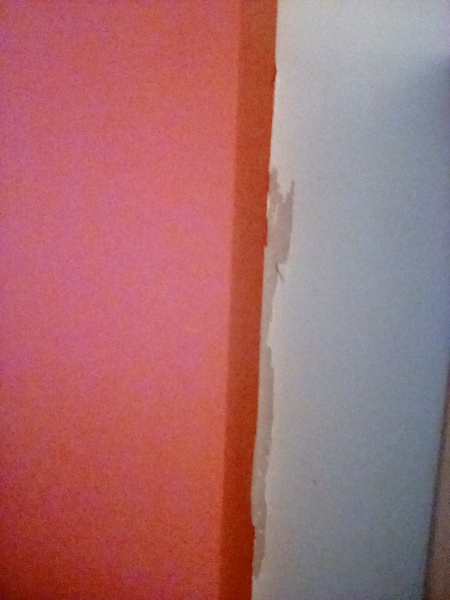 Are feature walls tacky now? At any rate, what colour is yours?