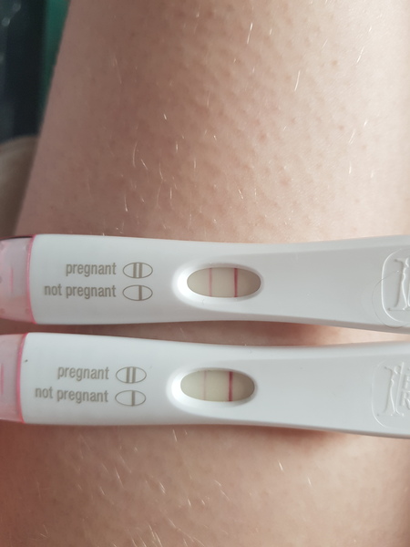 Newly Pregnant Club